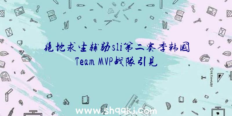 绝地求生辅助sli第二赛季韩国Team